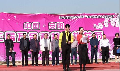 安阳市第三届 “安阳春天，观赏桃花”万金黄桃园桃花节